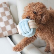 Pups &amp; Bubs SNUFFLE KNOT Supełek zabawka węchowa  dla psa i kota