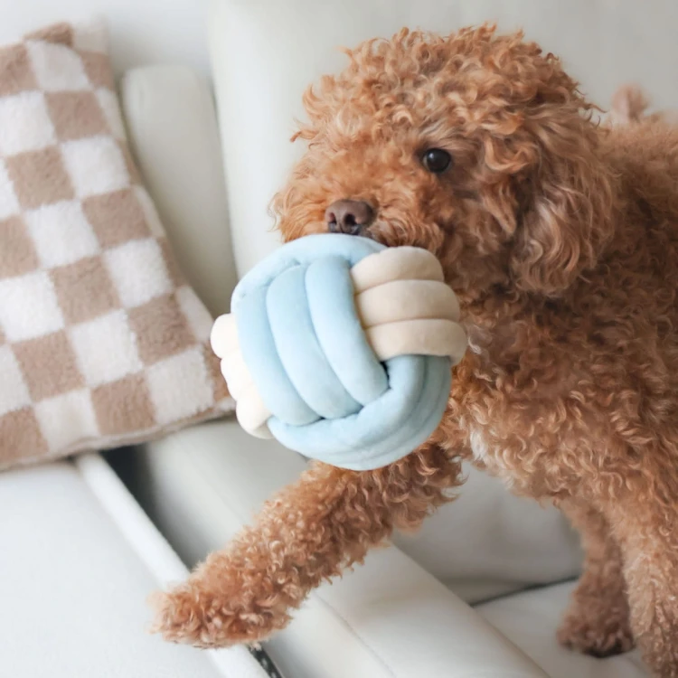 Pups &amp; Bubs SNUFFLE KNOT Supełek zabawka węchowa  dla psa i kota