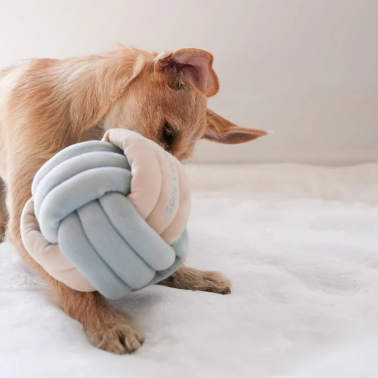 Pups &amp; Bubs SNUFFLE KNOT Supełek zabawka węchowa  dla psa i kota