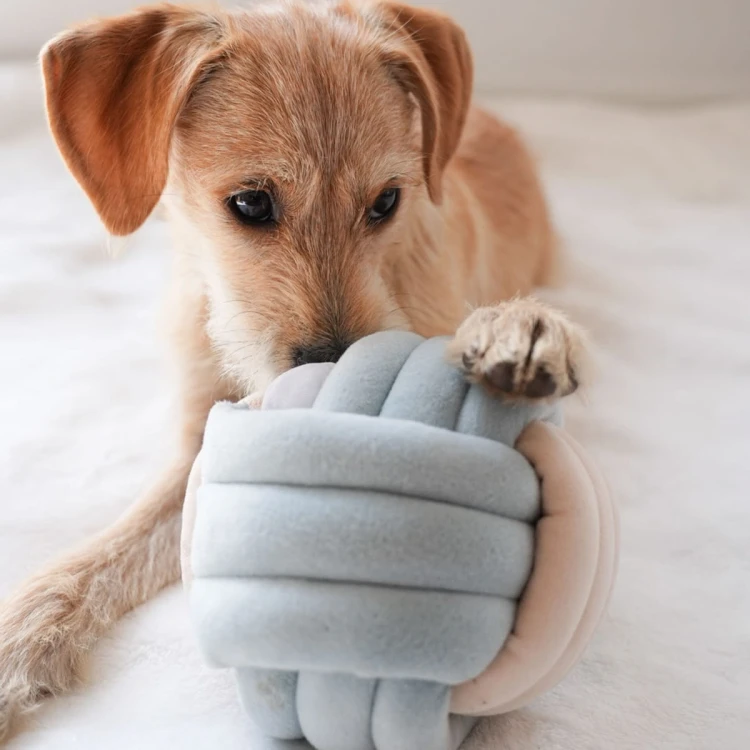 Pups &amp; Bubs SNUFFLE KNOT Supełek zabawka węchowa  dla psa i kota