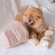 Pups &amp; Bubs POPCORN zabawka węchowa  dla psa i kota