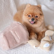 Pups &amp; Bubs POPCORN zabawka węchowa  dla psa i kota