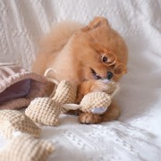 Pups &amp; Bubs POPCORN zabawka węchowa  dla psa i kota