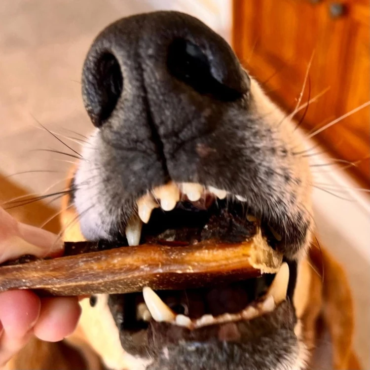 Cooka’s Cookies PORK SPAWGHETTI Suszone Jelita Wieprzowe 60g Przysmaki dla psa