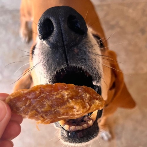 Cooka’s Cookies TURKEY CRISPIES Suszone piersi z indyka 95g Przysmaki dla psa