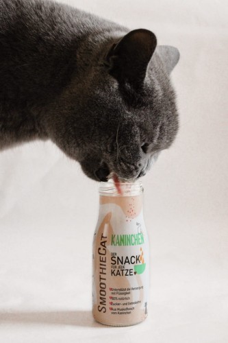 SmoothieCat KRÓLIK 150ml Przysmak płynny dla kota