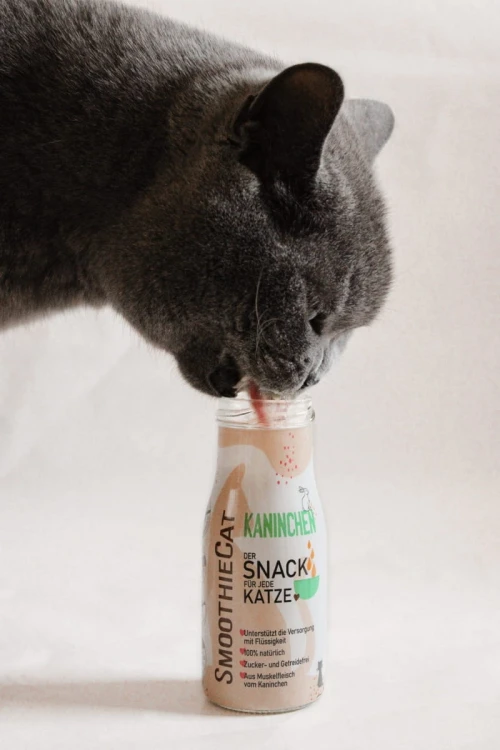 SmoothieCat KRÓLIK 150ml Przysmak płynny dla kota