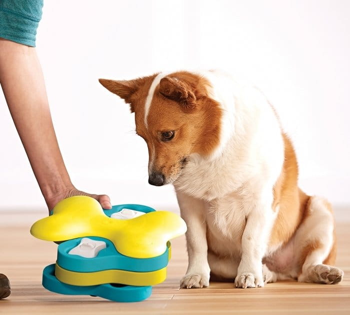 Nina Ottosson Dog Tornado - gra edukacyjna dla psów - poziom 2