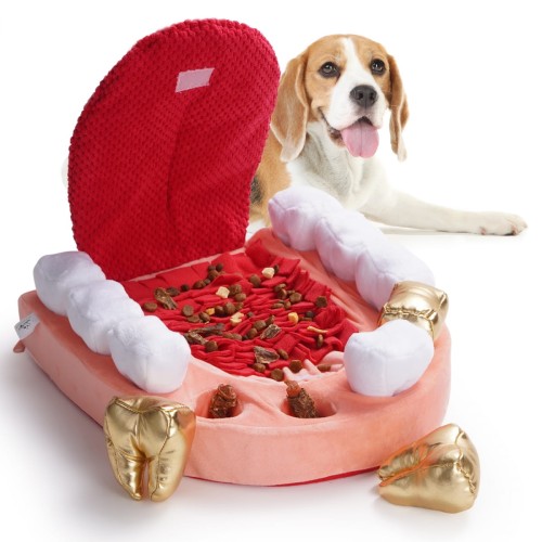 Nocciola Mata i zabawka węchowa dla psa U DENTYSTY