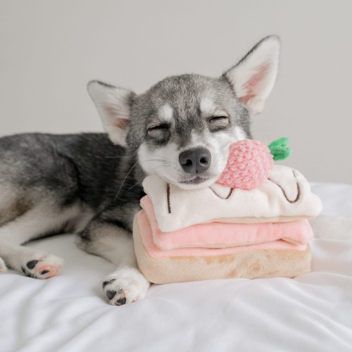 Pups &amp; Bubs STRAWBERRY MILLE-FEUILLE Truskawkowy Torcik zabawka węchowa  dla psa i kota