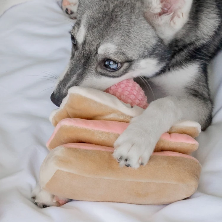 Pups &amp; Bubs STRAWBERRY MILLE-FEUILLE Truskawkowy Torcik zabawka węchowa  dla psa i kota