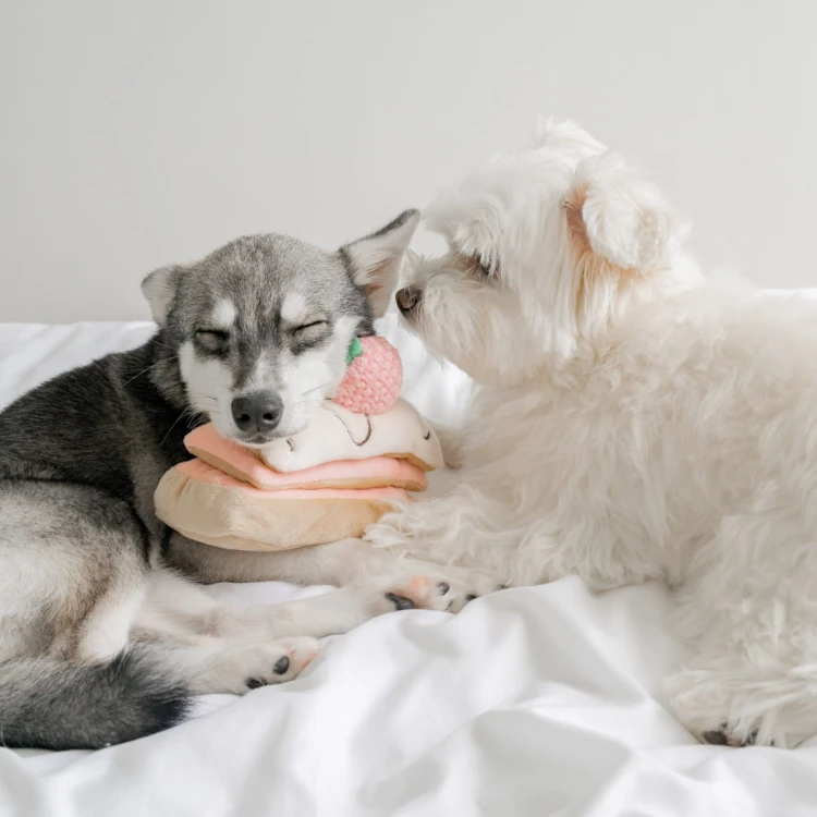 Pups &amp; Bubs STRAWBERRY MILLE-FEUILLE Truskawkowy Torcik zabawka węchowa  dla psa i kota