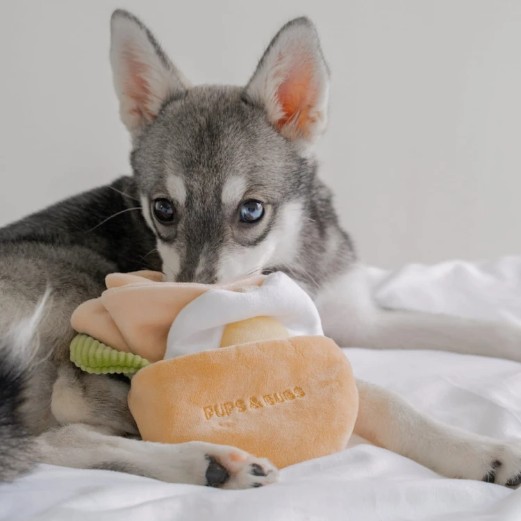 Pups &amp; Bubs PITA zabawka węchowa  dla psa i kota