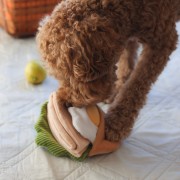 Pups &amp; Bubs PITA zabawka węchowa  dla psa i kota