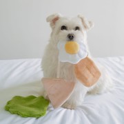 Pups &amp; Bubs PITA zabawka węchowa  dla psa i kota