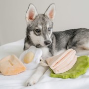 Pups &amp; Bubs PITA zabawka węchowa  dla psa i kota