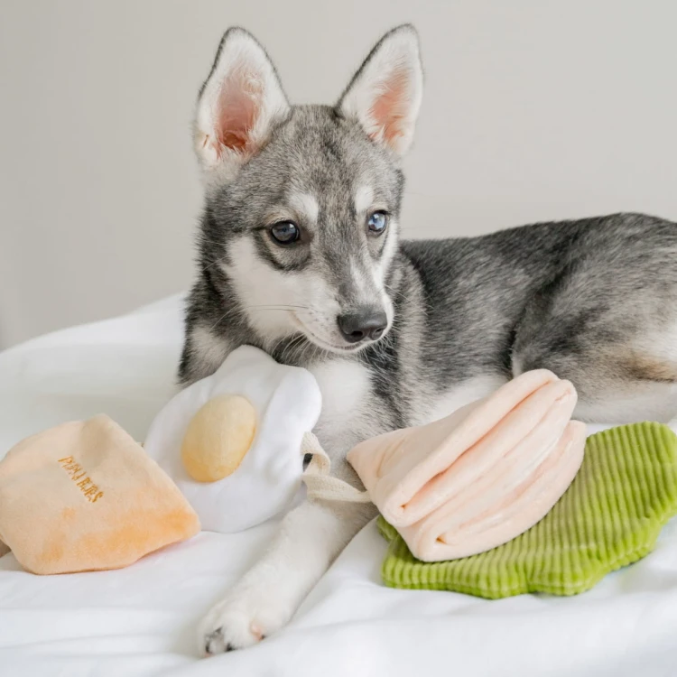 Pups &amp; Bubs PITA zabawka węchowa  dla psa i kota