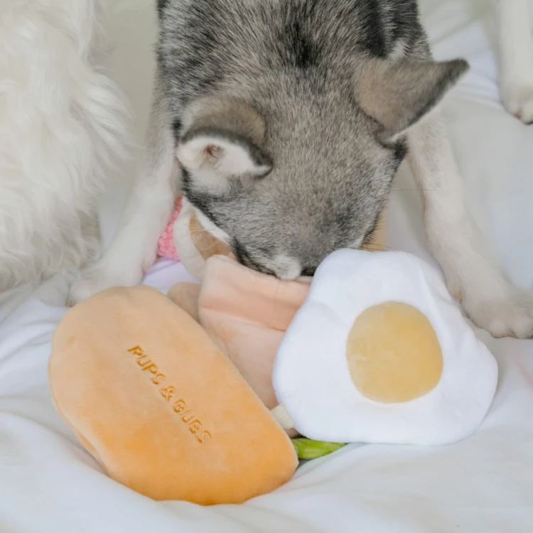 Pups &amp; Bubs PITA zabawka węchowa  dla psa i kota