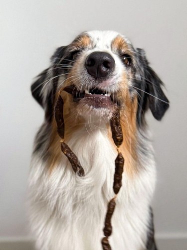 Cooka's Cookies BEEF SALAMIS kiełbaski wołowe 80g Przysmaki dla psa