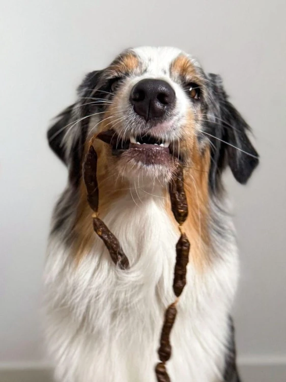 Cooka's Cookies BEEF SALAMIS kiełbaski wołowe 80g Przysmaki dla psa