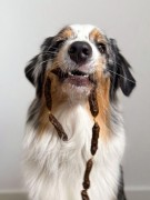 Cooka's Cookies TURKEY SALAMIS kiełbaski z indyka 80g Przysmaki dla psa