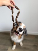 Cooka's Cookies TURKEY SALAMIS kiełbaski z indyka 80g Przysmaki dla psa