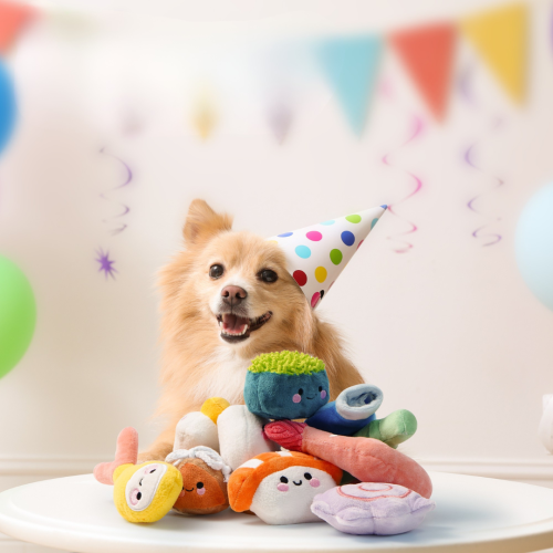 Nocciola Zabawka dla psa 11-w-1 DOSTAWA SUSHI