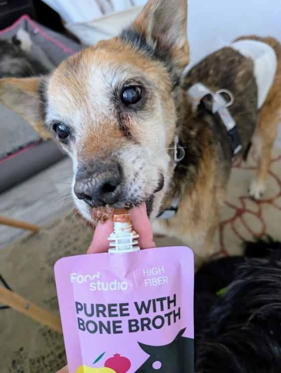 Food Studio Chefs PUREE dla psów z bulionem kostnym z ŁOSIA z marchewką, dziką żurawiną i czarną porzeczką 150ml