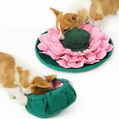 DOGLEMI Mata węchowa LOTOS dla psa i kota