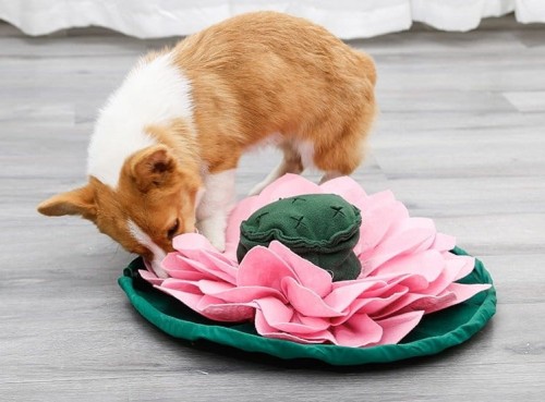 DOGLEMI Mata węchowa LOTOS dla psa i kota