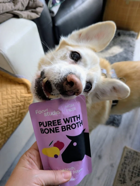 Food Studio Chefs PUREE dla psów WARZYWNO-OWOCOWE z marchewką, dynią, czarną porzeczką i kurkumą 150ml