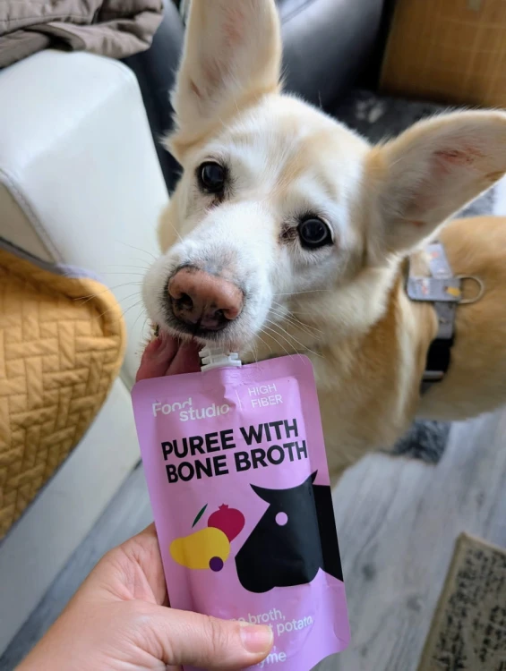 Food Studio Chefs PUREE dla psów WARZYWNO-OWOCOWE z marchewką, dynią, czarną porzeczką i kurkumą 150ml