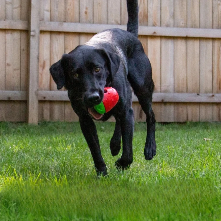 Brightkins Zabawka na przysmaki Strawberry Treat Dispenser TRUSKAWKA