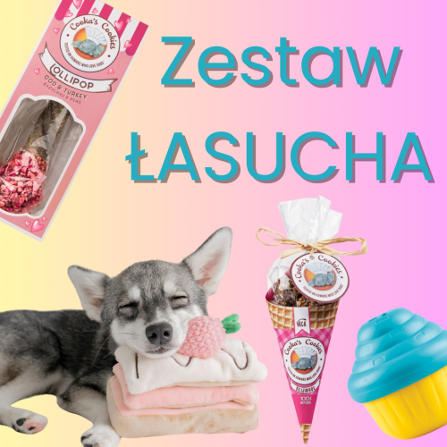 Zestaw ŁASUCHA - gotowy prezent dla psa