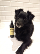 Zestaw PIĘKNISIA - gotowy prezent dla psa