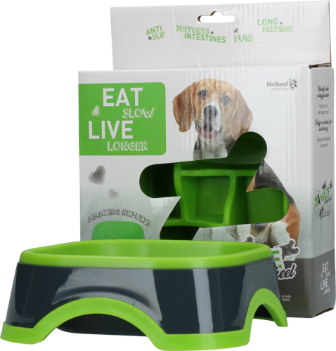 Z ekspozycji! Eat Slow Live Longer AMAZE PINWHEEL miska spowalniająca zielona dla psa i kota