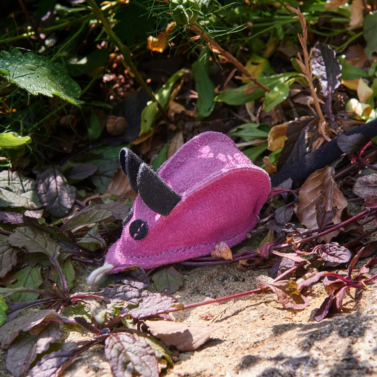 Midge-in-bush-EDITED.jpg