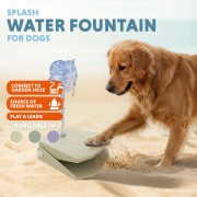Linkedin-coolpets7-download.jpg
