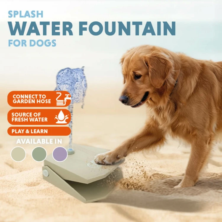 Linkedin-coolpets7-download.jpg