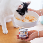 perroland_soups_losos2.png