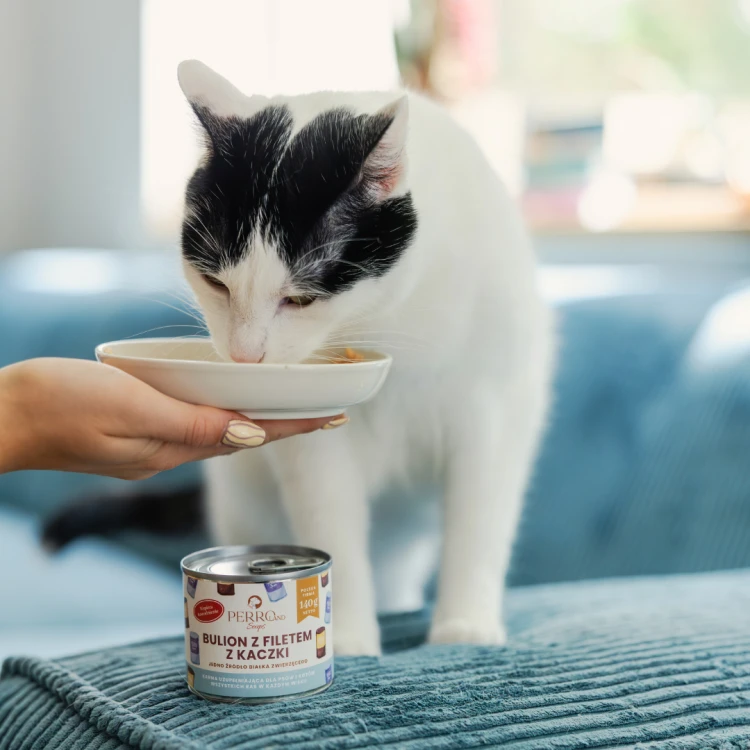 perroland_soups_kaczka2.png