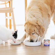 perroland_soups_wolowina1.png