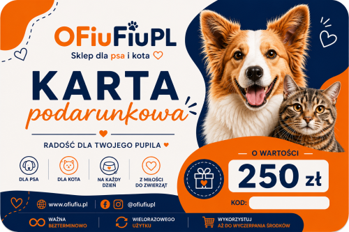 karta 250 zł.png