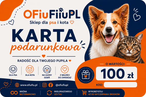 karta 100 zł.png
