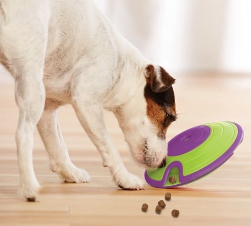 Nina Ottosson Dog Treat Maze Green - gra edukacyjna dla psów - poziom 2