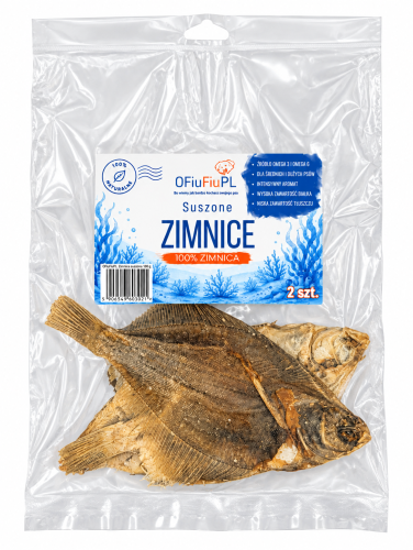 Zimnice.png