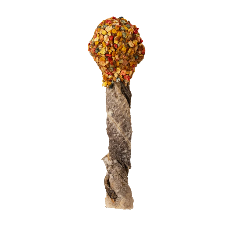 Lollipop_4.png