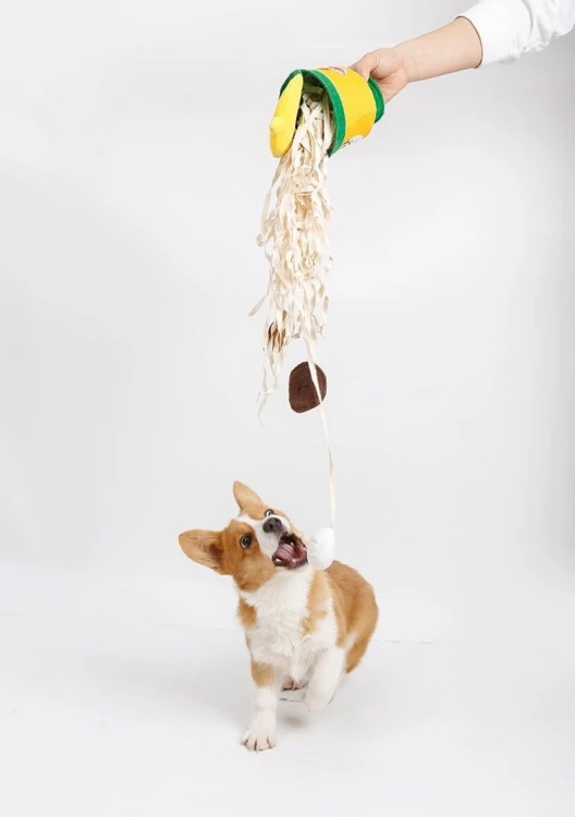 DOGLEMI Zabawka węchowa NOODLE dla psa i kota